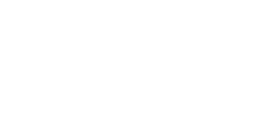 ПГС Промгеострой